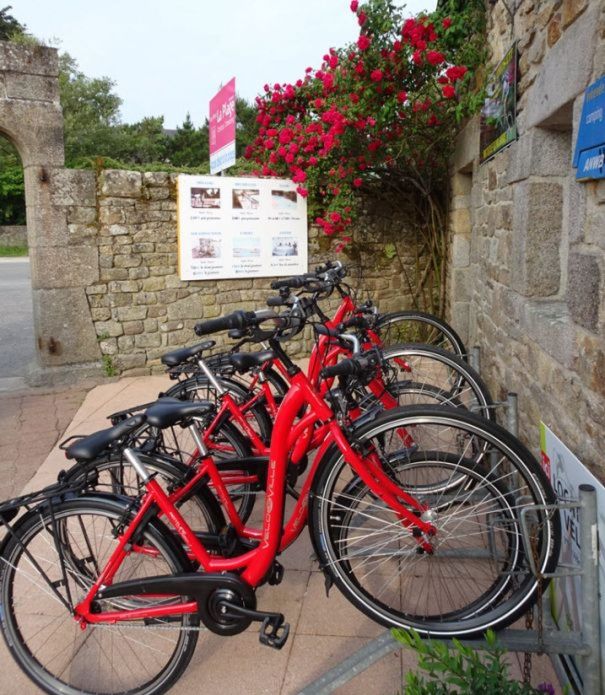 Fietsverhuur camping