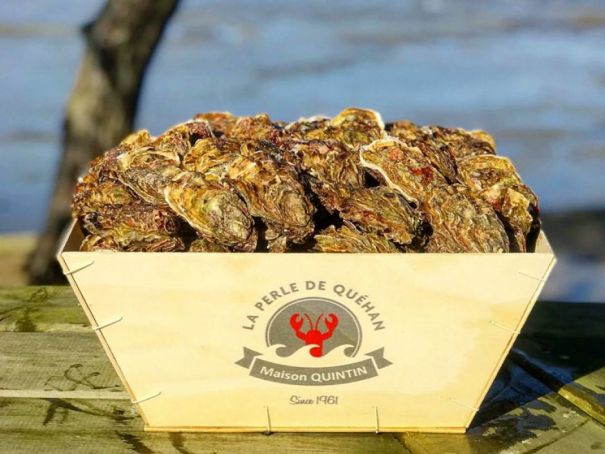 Oesters Perle de Quéhan © Maison Quintin
