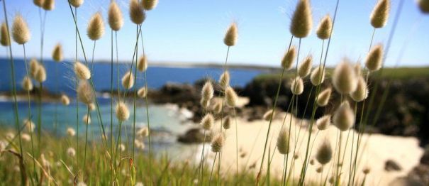 Een bevoorrecht klimaat voor uw vakantie in Zuid-Bretagne