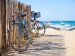 La Trinité sur Mer en zijn omgeving per fiets!